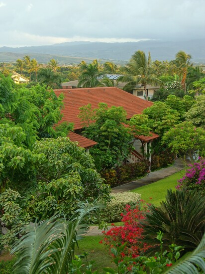 Click to See Next Image